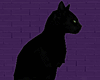 G̷. Animated Salem Cat