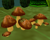 [AA] biG mushrooms