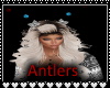 Antlers/RH