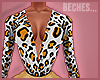 B | Cheetah Tucked!