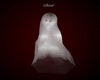 AO~Ghost Top