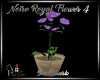 NOIRE ROYAL FLOWER 4