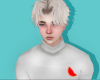 Wal.Sugar Turtle Neck