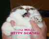 Scardy Cat
