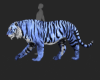 ☢ Ani Tiger Baby Blue