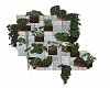 wall plants