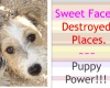 Destroyed Places