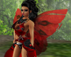 ~N~Red Rowan Wings