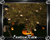 (E)Spooky: Tree Bed