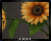 SUNFLOWER VASE 🌻