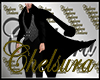 Coat Animate Black