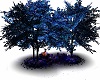 pic nic tree blu