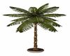 Palm Tree with LIghts