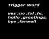 trigger word poster