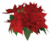 TF* Christmas Poinsettia