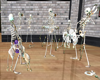 Skeleton Orchestra Bundl