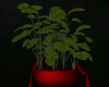 Red Plant-Head Figure