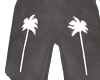 PALMS
