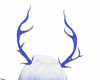 yingxing horns