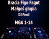 Bracia Figo -Malgos