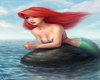 Beautiful Ariel