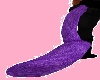 Pastel Purple Tiger Tail