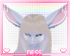 Dreamsicle Ears