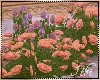 -I- Dawn Court Garden