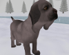 *N* Animated Puppy