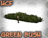 HCF green long bush #1