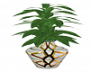 Plant in Elegant  Vasse