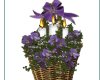 basket of violets