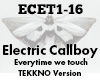 Electric Callboy Everyti