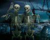 skeleton couple