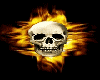 1SF Fire Skull