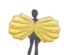 v. Seashell Wing - Lemon