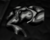 Body Rug