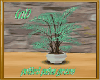(al) potted palm tree