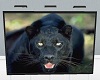 Panther Picture
