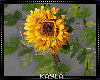 Sunflowers Wall Deco🌻