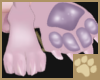 ~AM~ Nebesa Paw Feet M