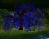 (BM) Blue willow