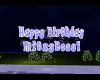 Sing Happy B. Mitzy-24