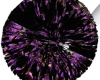 HCH Pom Poms