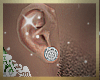 ♛ `A Ast Earrings 019