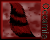 War Tail Red