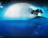 (mm)Blue moon photo set
