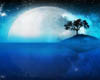 (mm)Blue moon photo set