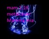 mam1-16 metalcover