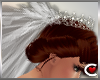 *SC-Wedding Veil & Tiara